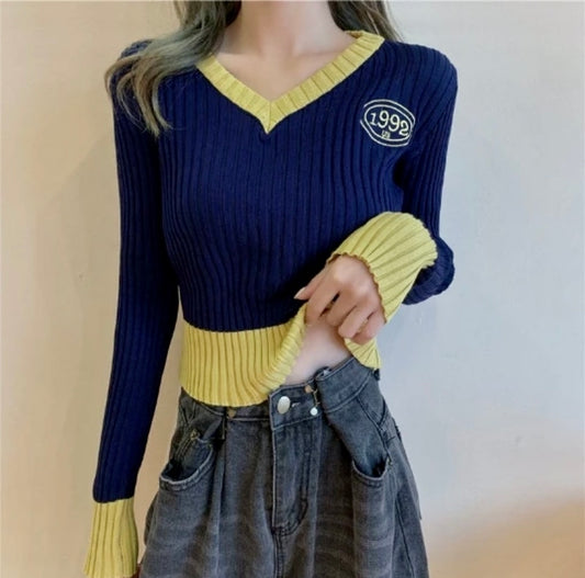 ‘Colorblocked’ crop top